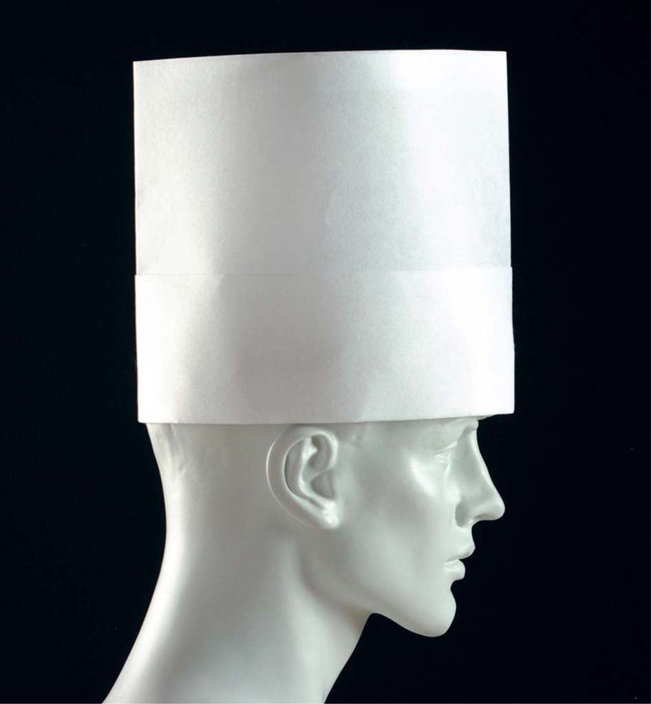 パリスハット(10枚入)PH-121NT　直送