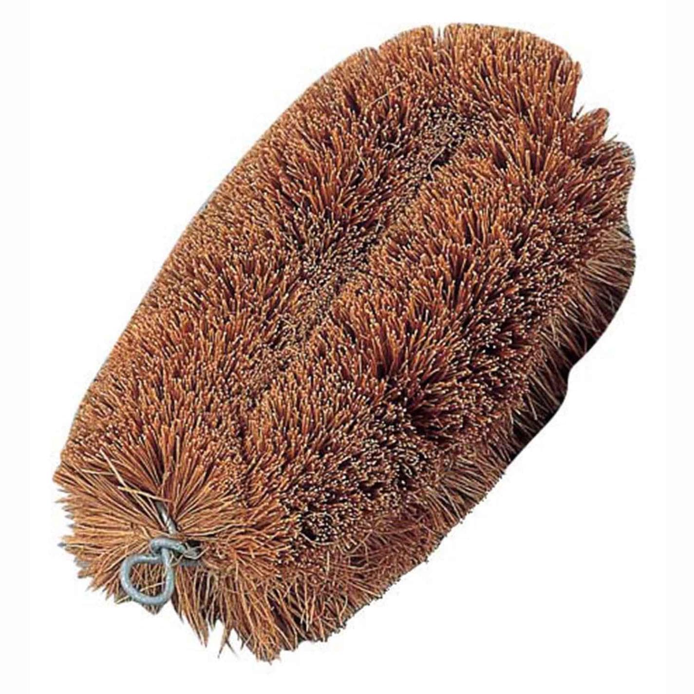 正直タワシ 大 160×100　直送