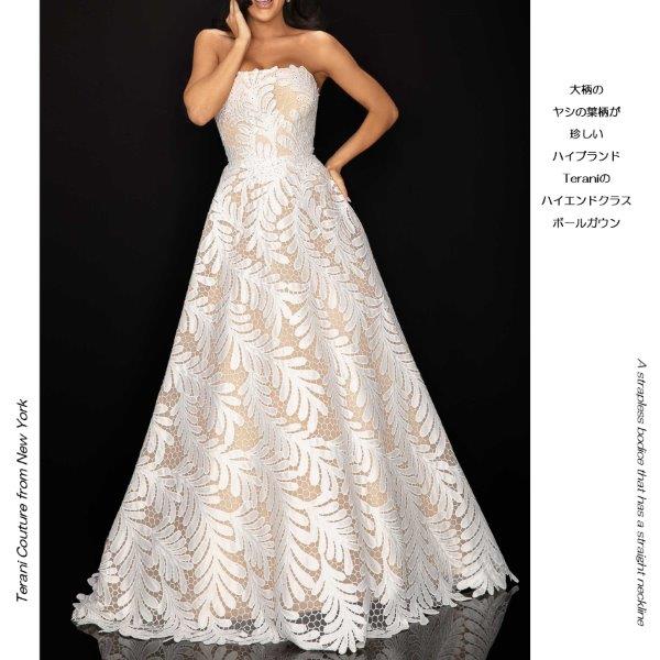 ����ݡ��ȥɥ쥹 �ɥ쥹 ����֥������꡼�졼�� �饤�󥹥ȡ���  �٥��ȥå� A�饤��  �ӥ��奨��֥������꡼ �˥塼�衼��  TERANI TERANICOUTURE  �饰���奢�꡼�ɥ쥹 ���ղ�ɥ쥹 �ԥ��α��� ���ơ����ɥ쥹 ȯɽ��ɥ쥹