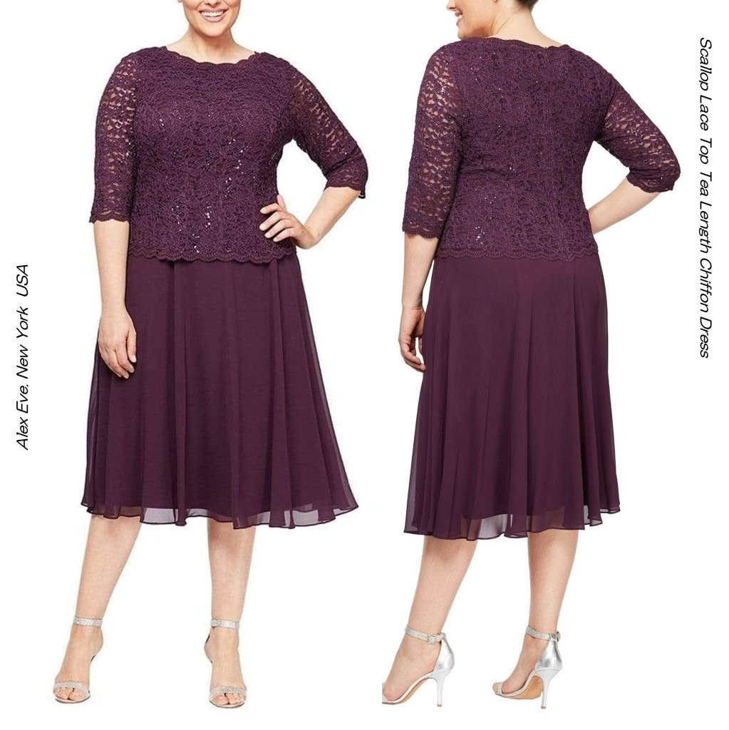 ����ݡ��ȥɥ쥹��� ���ȥ�å��졼���ɥ쥹�ե쥢���������ȥɥ쥹 �ڎ����ߥǥ��ɥ쥹 plum �翧�ɥ쥹 �ƥ�����󥰥� A�饤�� �˥塼�衼���֥��� ���ղ�ɥ쥹 �ԥ��α��� �ޥ������ɥ쥹 ȯɽ��ɥ쥹