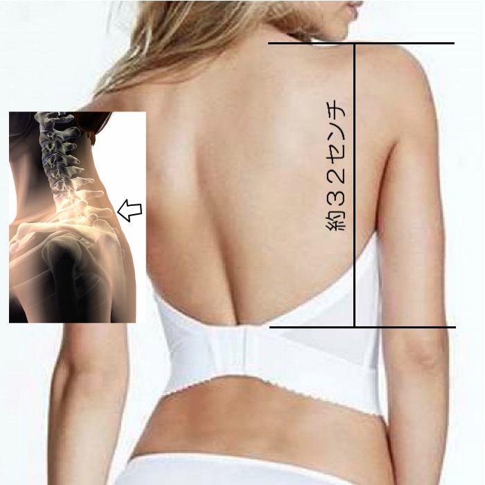 DOMINIQUE #6377F 70F~G 100F~G �ۥ磻�ȥӥ����� �ƥ��å� �ǥ��å� 