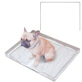 ��ľ�Τ�����ǰ��͡����ꥢ��åȥץ�ߥ��� ���ѥȥ��� �ȥ졼&���λ��������Ĳ����� [���ꥢ��åȡ����λ���] �� �ȥ��� �ڥåȥȥ��� Clearlet Premium �����෿ �磻�ɥ����� ���ȥ��� �ڥå� �ȥ���ȥ졼 �ڥåȥ����� �磻�ɥ����� ���������ñ ���ꥢ