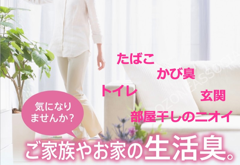 ��ľ�Τ����餤�ĤǤ�10%off���᡼�����ݾ�3ǯ�դ����ڲ����ѡ۲�Ŭ�ޥ������� OZ-3 ���������æ���� ���������� �����륹����