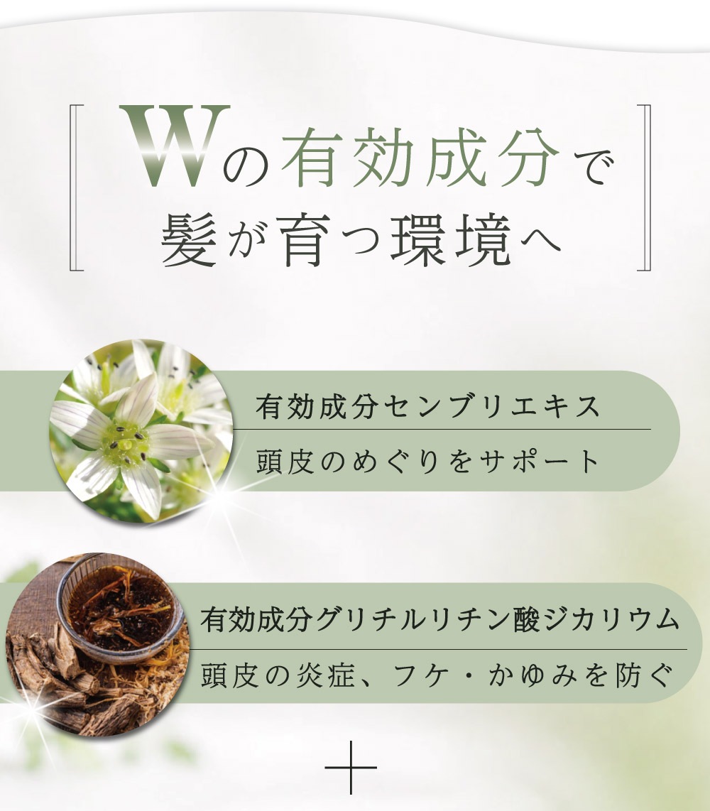 ��᡼���ء���Ӻ� ���������� ����̵�� ������ �������� ��ʪ���Ի��� ��ɷ� Ƭ�饱�� �ե� ����� �������� �˽����� BraveGrow [�֥쥤�֥�����] 120ml