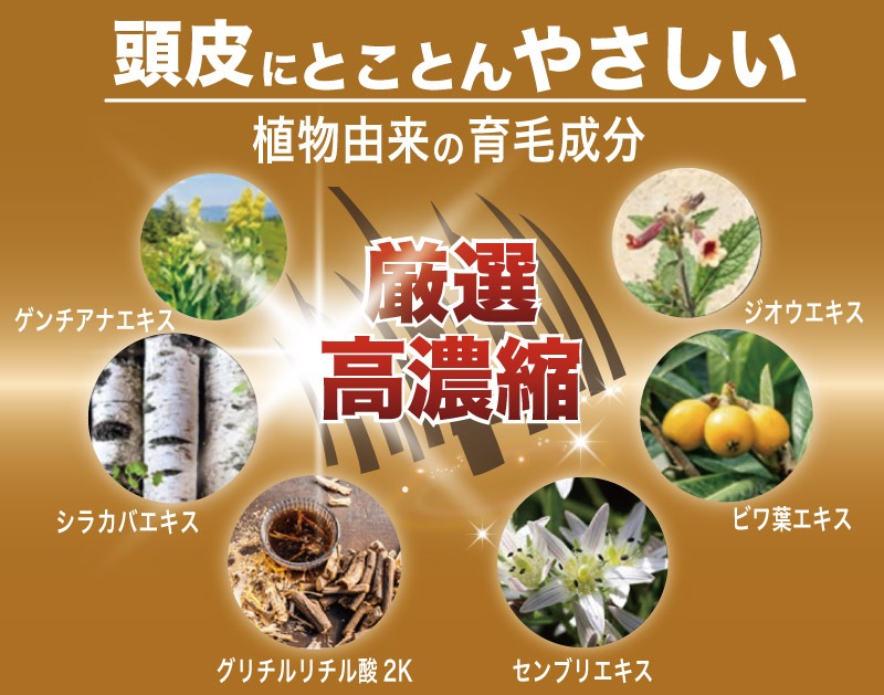 ľκǰ͡ Ӻ   ɷ  ܥ˥ ߷12,000ˡ BraveGrow [֥쥤֥] ӥ 150ml   ̵ź ֥ꥨ 2K Ƭ饱