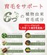 ��᡼���ء���Ӻ� ���������� ����̵�� ������ �������� ��ʪ���Ի��� ��ɷ� Ƭ�饱�� �ե� ����� �������� �˽����� BraveGrow [�֥쥤�֥�����] 120ml
