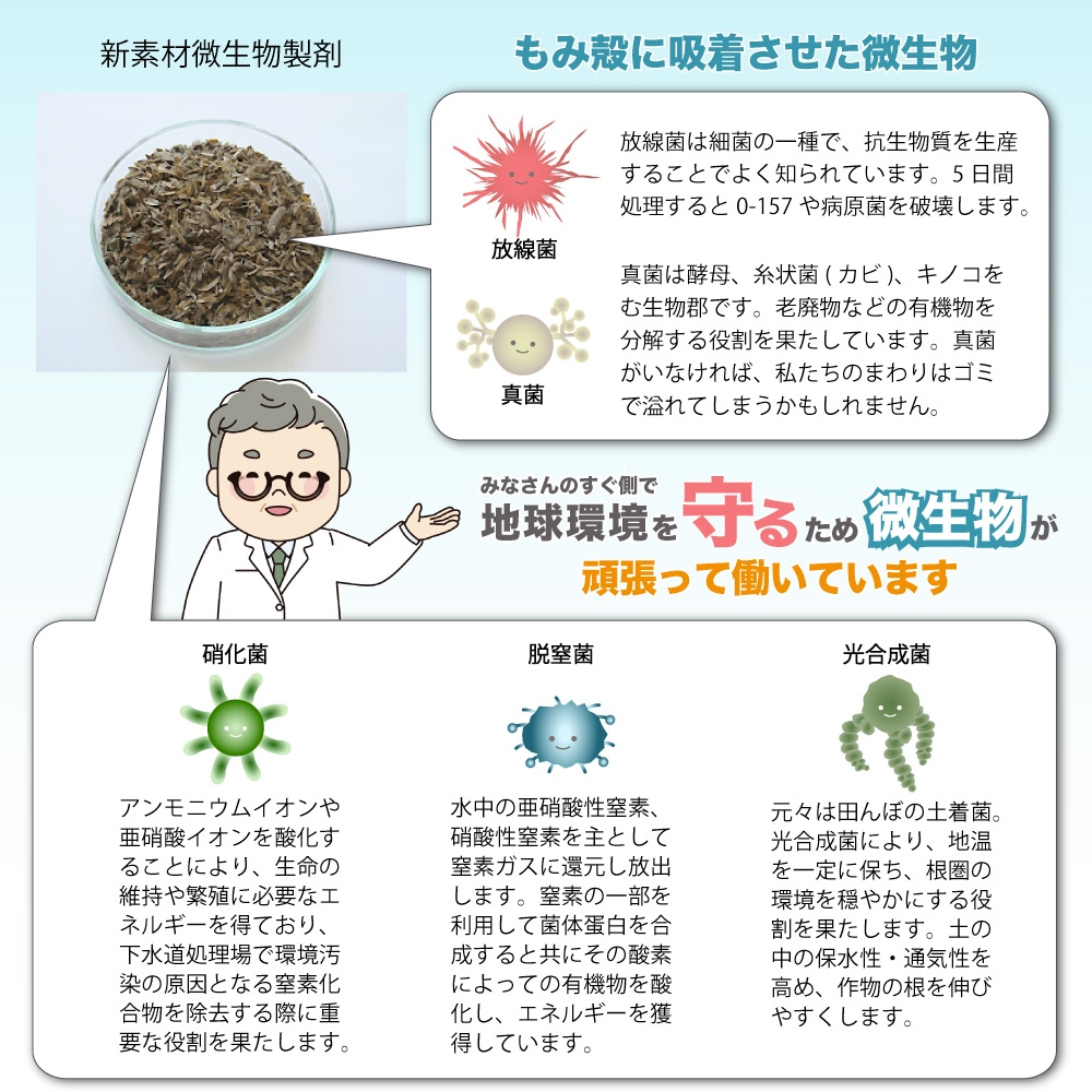 ᡼ء ɺѴʰץȥ졦ؽ [ХBB10] 15g10  ɺҥå   ҳ ɺ ҳ ý  ȥ  Х Ի  ̳Ի ̵ź ECO  Ķ Ķˤ䤵