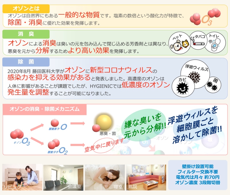 餤ĤǤݥ10%Ըȯ [ϥ˥å HG-10] ļ Թ缼 Ź Υӥ