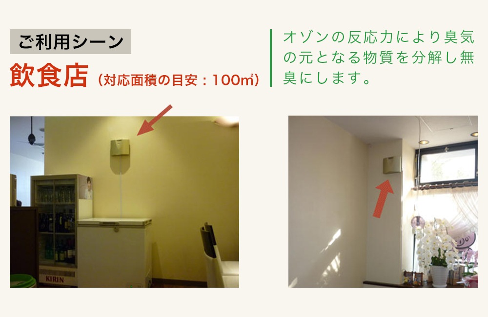 餤ĤǤݥ10%Ըȯ [ϥ˥å HG-10] ļ Թ缼 Ź Υӥ