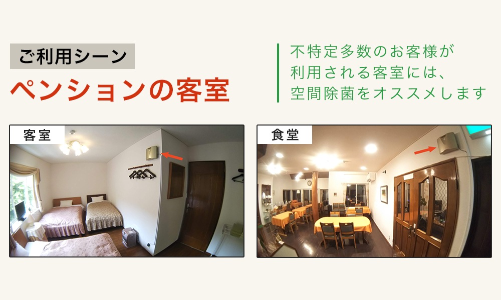 餤ĤǤݥ10%Ըȯ [ϥ˥å HG-10] ļ Թ缼 Ź Υӥ