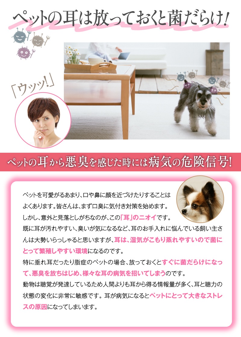    ǭ ڥå [䡼åͤؤ 3ܥå]  ꥹץ䡼å Υ󥢥륳 ŷʬ100% ñ   䡼꡼ʡ ꡼ʡ ˥ 䡼 ̵ ǭڥåѤμ