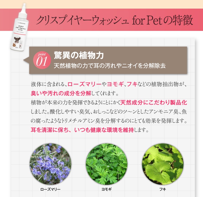    ǭ ڥå [䡼åͤؤ 3ܥå]  ꥹץ䡼å Υ󥢥륳 ŷʬ100% ñ   䡼꡼ʡ ꡼ʡ ˥ 䡼 ̵ ǭڥåѤμ