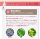    ǭ ڥå [䡼åͤؤ 3ܥå]  ꥹץ䡼å Υ󥢥륳 ŷʬ100% ñ   䡼꡼ʡ ꡼ʡ ˥ 䡼 ̵ ǭڥåѤμ