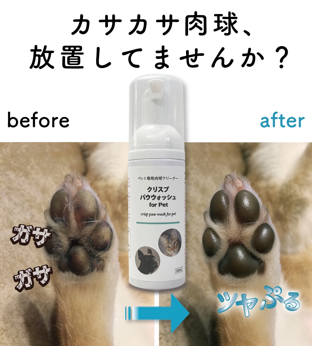 ���奱�� �� ǭ ���� �Ҥӳ�� [���ꥹ�� �ѥ������å��� 50ml]  ˢ ���奯�꡼�ʡ� �� �����ݸ�꡼�� �����ݼ� ���奱�� ǭ ŷ����ʬ ��Ʀ��ʬ ������ ̵ź�� ���奯�꡼�� ���륳�����Ի��� ���� ���� ���� �������� ����� ���奱�� �� ���奬����