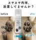 ���奱�� �� ǭ ���� �Ҥӳ�� [���ꥹ�� �ѥ������å��� 50ml]  ˢ ���奯�꡼�ʡ� �� �����ݸ�꡼�� �����ݼ� ���奱�� ǭ ŷ����ʬ ��Ʀ��ʬ ������ ̵ź�� ���奯�꡼�� ���륳�����Ի��� ���� ���� ���� �������� ����� ���奱�� �� ���奬����