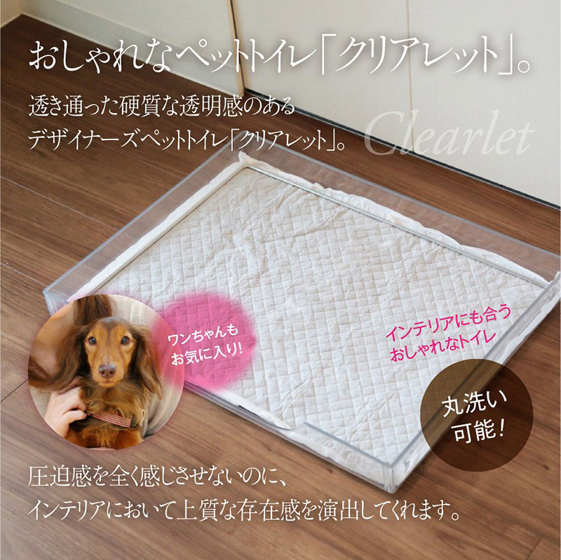 ľΤǰ͡ꥢåȥץߥ ѥȥ ȥ졼&λĲ [ꥢåȡλ]  ȥ ڥåȥȥ Clearlet Premium ෿ 磻ɥ ȥ ڥå ȥȥ졼 ڥåȥ 磻ɥ ñ ꥢ