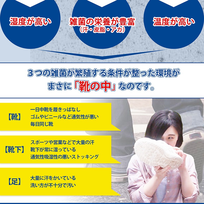 ��ľ�θ��ꡪ����̵���� �� �ý� �ѥ����� ���� �ý� ���ץ졼��24���֥˥����֥��å��� [���㥤�ˡ����å��� �ý����ץ졼+�ѥ��������å�] ���ý����ץ졼 ������300ml ŷ����ʬ ���å������ѥ��� �ý� ���� �˥��� ���ν��� ­�� ���������� ������ ���� �֡��� ���ˡ����� ���ե� �Х����åȥ��塼�� �ý� �ѥ����� 80g