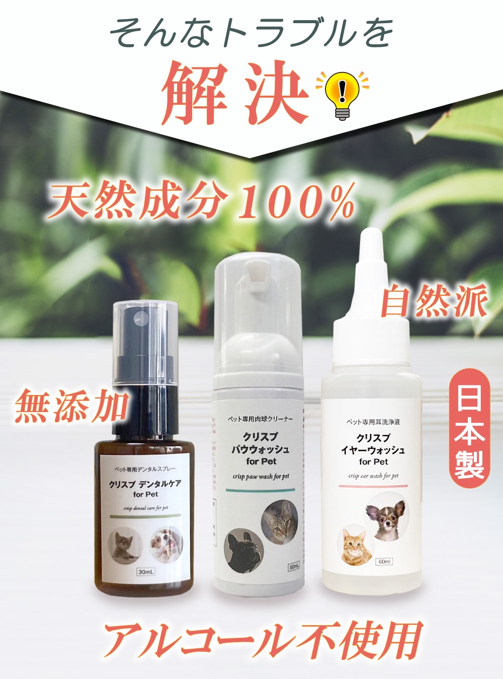 �� ǭ �������� ���λ��᤭ ���奱�� �ڥå��� ������ ŷ����ʬ100% �Υ󥢥륳���� �������å�  [���ꥹ�ץ���3 ���䡼�����å���+�ǥ󥿥륱��+�ѥ������å���]  �֤� ����� ���� �ܥ��˥��� ���䡼��������� �� ���᤭ ���� �Ҥӳ�� ���奯�꡼�� �����󥱥� �ݼ�