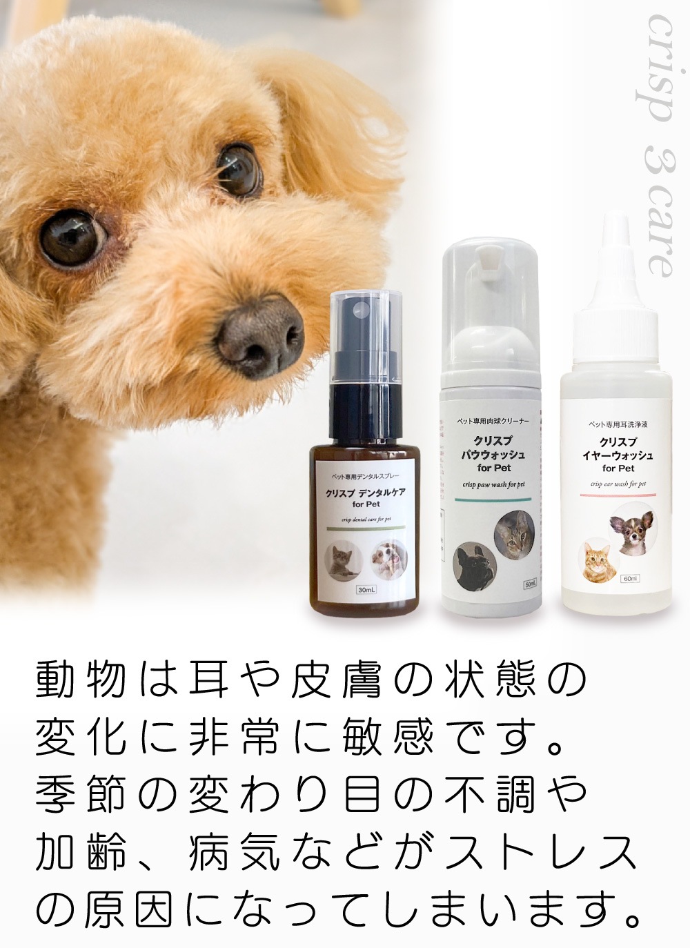 �� ǭ �������� ���λ��᤭ ���奱�� �ڥå��� ������ ŷ����ʬ100% �Υ󥢥륳���� �������å�  [���ꥹ�ץ���3 ���䡼�����å���+�ǥ󥿥륱��+�ѥ������å���]  �֤� ����� ���� �ܥ��˥��� ���䡼��������� �� ���᤭ ���� �Ҥӳ�� ���奯�꡼�� �����󥱥� �ݼ�