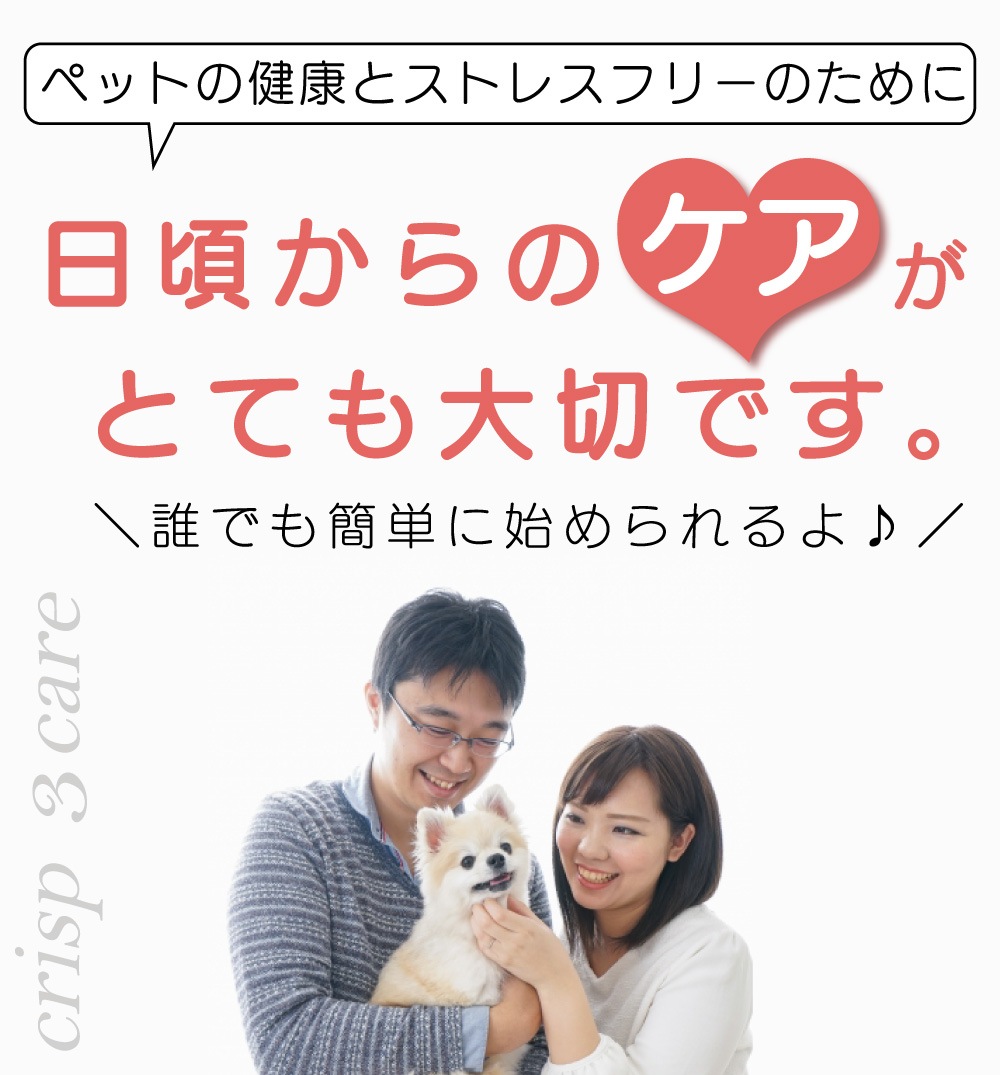 �� ǭ �������� ���λ��᤭ ���奱�� �ڥå��� ������ ŷ����ʬ100% �Υ󥢥륳���� �������å�  [���ꥹ�ץ���3 ���䡼�����å���+�ǥ󥿥륱��+�ѥ������å���]  �֤� ����� ���� �ܥ��˥��� ���䡼��������� �� ���᤭ ���� �Ҥӳ�� ���奯�꡼�� �����󥱥� �ݼ�