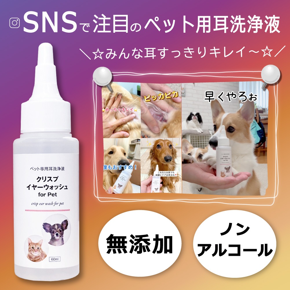 �� ǭ �������� ���λ��᤭ ���奱�� �ڥå��� ������ ŷ����ʬ100% �Υ󥢥륳���� �������å�  [���ꥹ�ץ���3 ���䡼�����å���+�ǥ󥿥륱��+�ѥ������å���]  �֤� ����� ���� �ܥ��˥��� ���䡼��������� �� ���᤭ ���� �Ҥӳ�� ���奯�꡼�� �����󥱥� �ݼ�