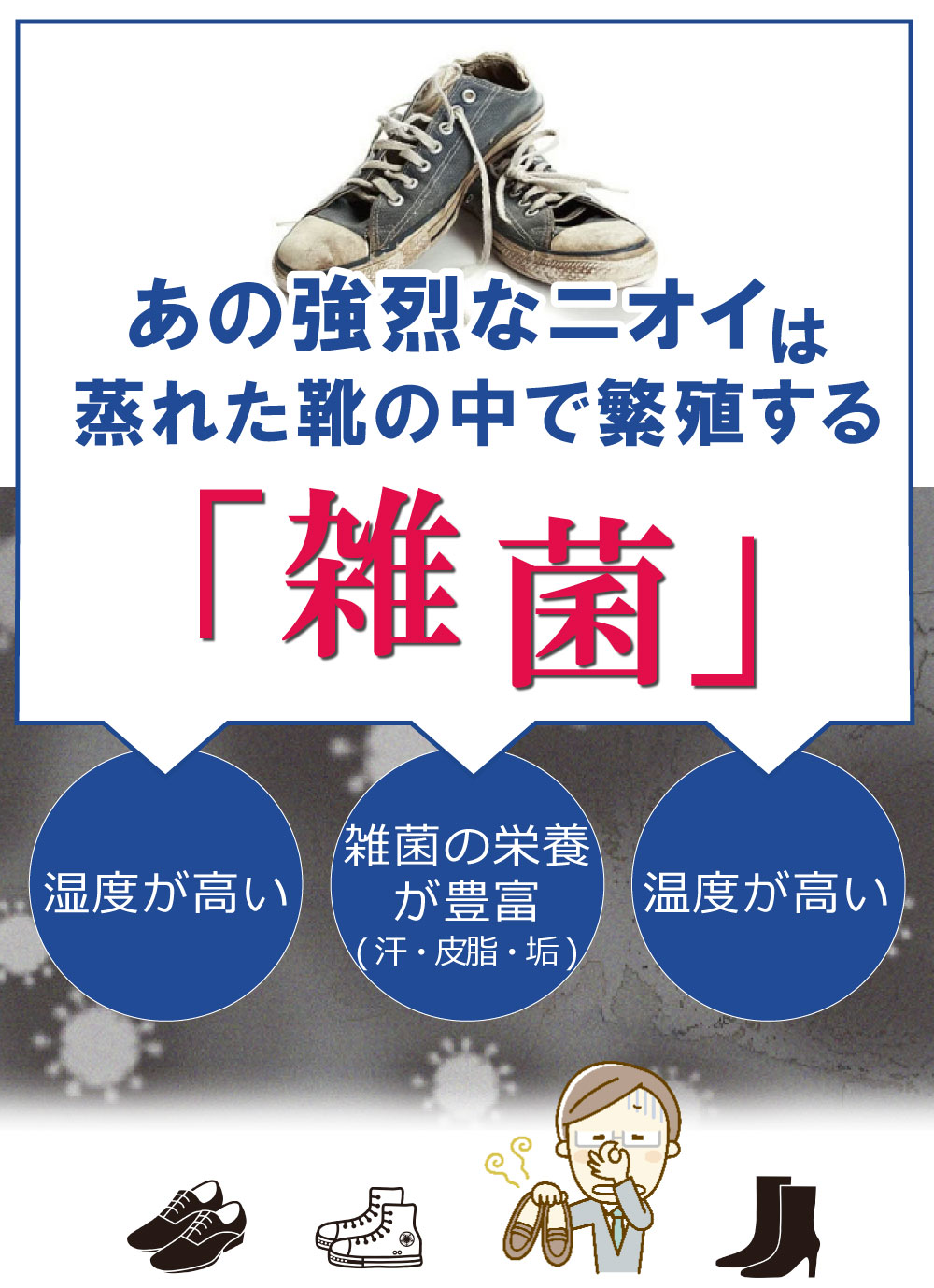 ��ľ�θ��ꡪ�ǰ��͡� ���Υ����ե륻�å� �ý��ѥ�����80g���ɿ她�ץ졼420ml+�����ѥ��꡼�ʡ�100ml�ܾý����ץ졼300ml  [���㥤�ˡ����å���4�����å�]  ­ �˥��� �к� ʴ ������ ���ý��� ������ ­�� ���꤫������� ���� �֡��� ���ˡ����� ���������륹�ץ졼 �ɿ� ����� ����������