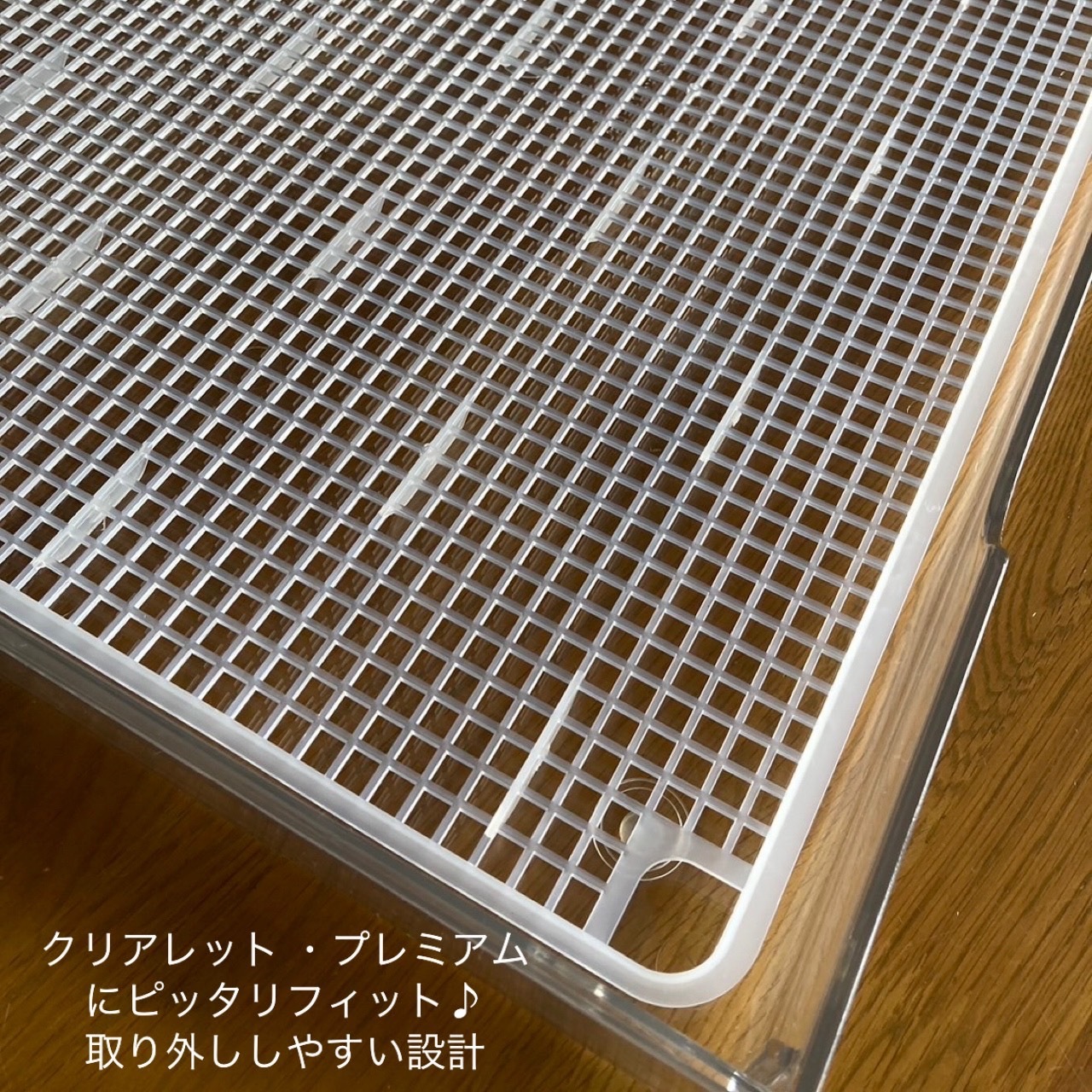 ��ľ�Τ�����ǰ��͡����ꥢ��åȥץ�ߥ��� ���ѥȥ��� �ȥ졼&��å��奷���Ĳ����� [���ꥢ��åȡ���å��奿����] �� �ȥ��� �ڥåȥȥ��� �磻�ɥ����� Clearlet Premium ��å��� �ȥ���ȥ쥤 �� �ȥ���ȥ졼 �磻�� ��å��� �ڥåȥ����� �磻�ɥ�����