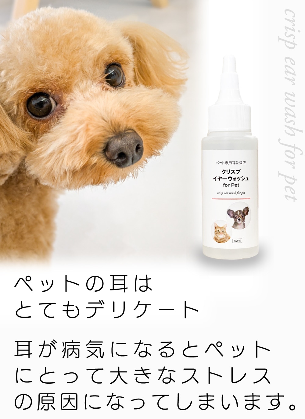 �������� �� ǭ �ڥå��� ���䡼���꡼�ʡ� ŷ����ʬ100% [���ꥹ�ץ��䡼�����å���] 60ml ������ �Υ󥢥륳���륿���� ŷ����ʬ100% ���ݽ� �������� ������ �����꡼�ʡ� �˥������� ���䡼��������� ��ñ �������� ̵��