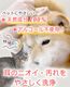 �������� �� ǭ �ڥå��� ���䡼���꡼�ʡ� ŷ����ʬ100% [���ꥹ�ץ��䡼�����å���] 60ml ������ �Υ󥢥륳���륿���� ŷ����ʬ100% ���ݽ� �������� ������ �����꡼�ʡ� �˥������� ���䡼��������� ��ñ �������� ̵��