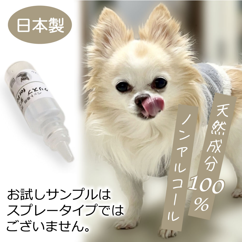 ��ľ�θ��ꡪ����̵���� [���ꥹ�ץǥ󥿥륱�� ����ܥȥ�8ml] ������ �Υ󥢥륳���� �ڥå��ѥǥ󥿥륱�� ���᤭������ ̵ź�� ŷ����ʬ100�� �������ץ� 