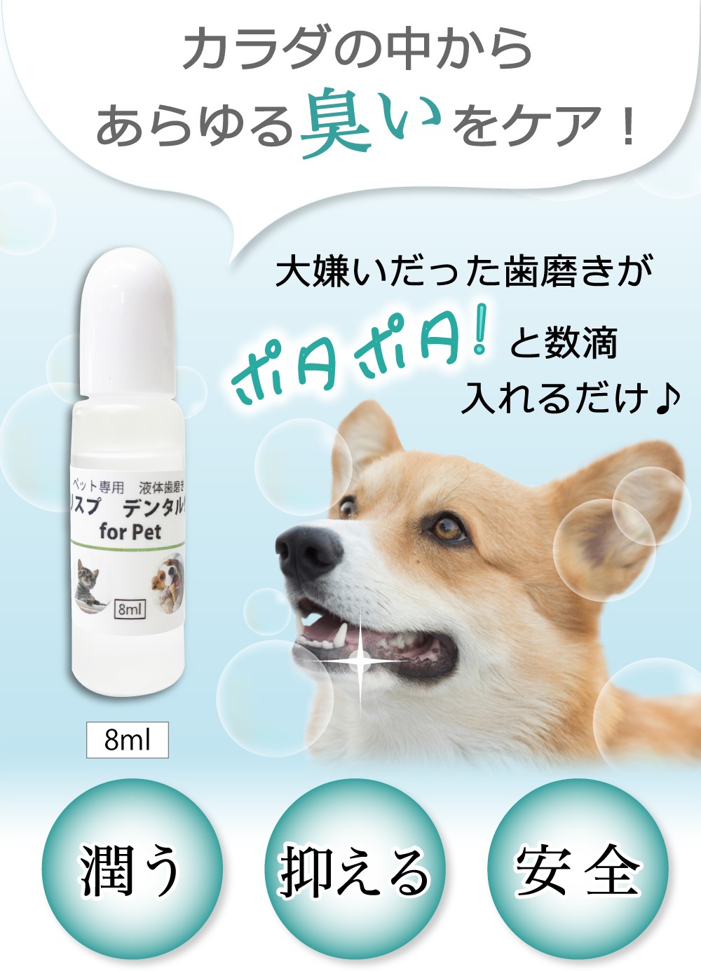 ��ľ�θ��ꡪ����̵���� [���ꥹ�ץǥ󥿥륱�� ����ܥȥ�8ml] ������ �Υ󥢥륳���� �ڥå��ѥǥ󥿥륱�� ���᤭������ ̵ź�� ŷ����ʬ100�� �������ץ� 