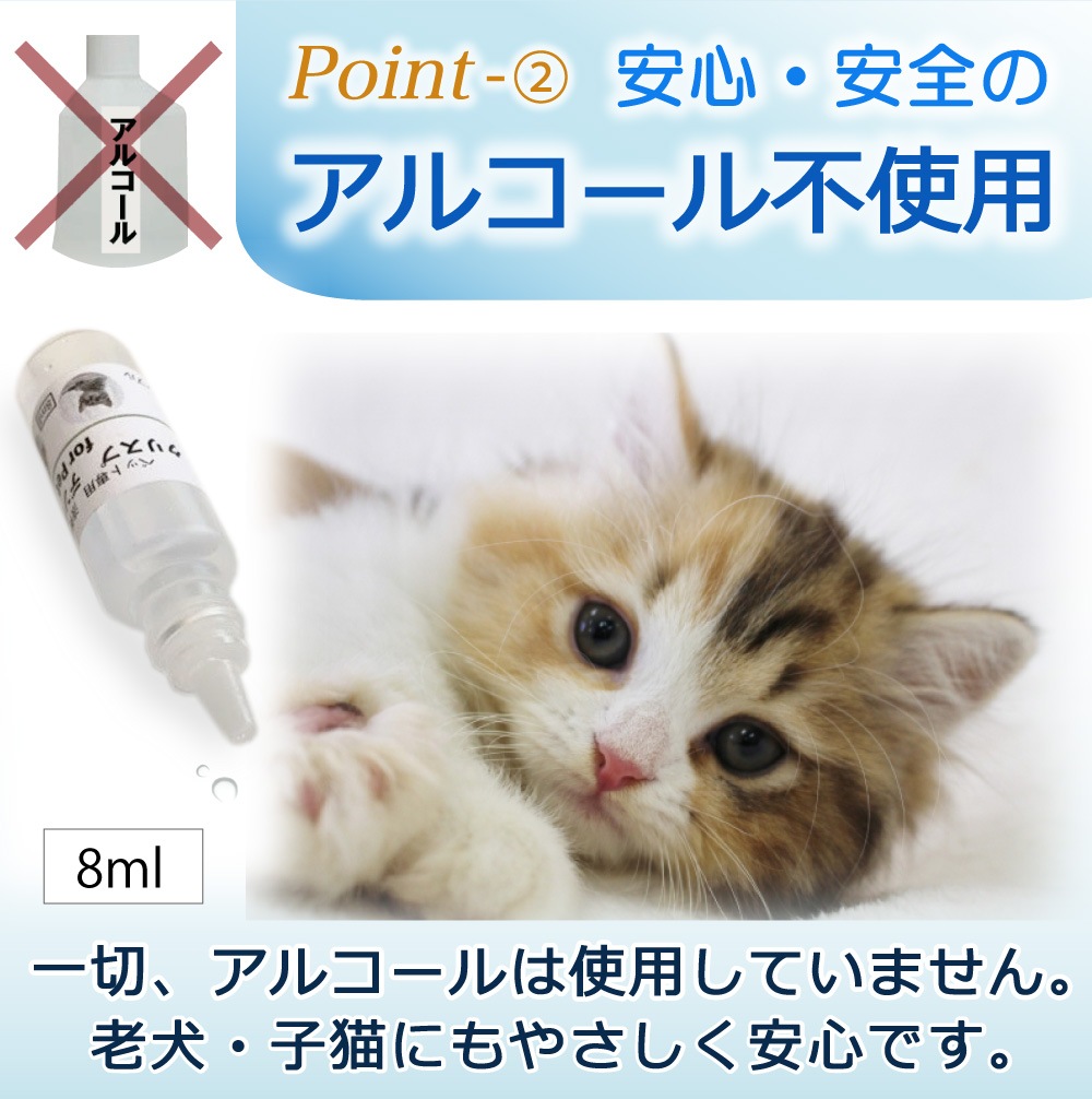 ��ľ�θ��ꡪ����̵���� [���ꥹ�ץǥ󥿥륱�� ����ܥȥ�8ml] ������ �Υ󥢥륳���� �ڥå��ѥǥ󥿥륱�� ���᤭������ ̵ź�� ŷ����ʬ100�� �������ץ� 