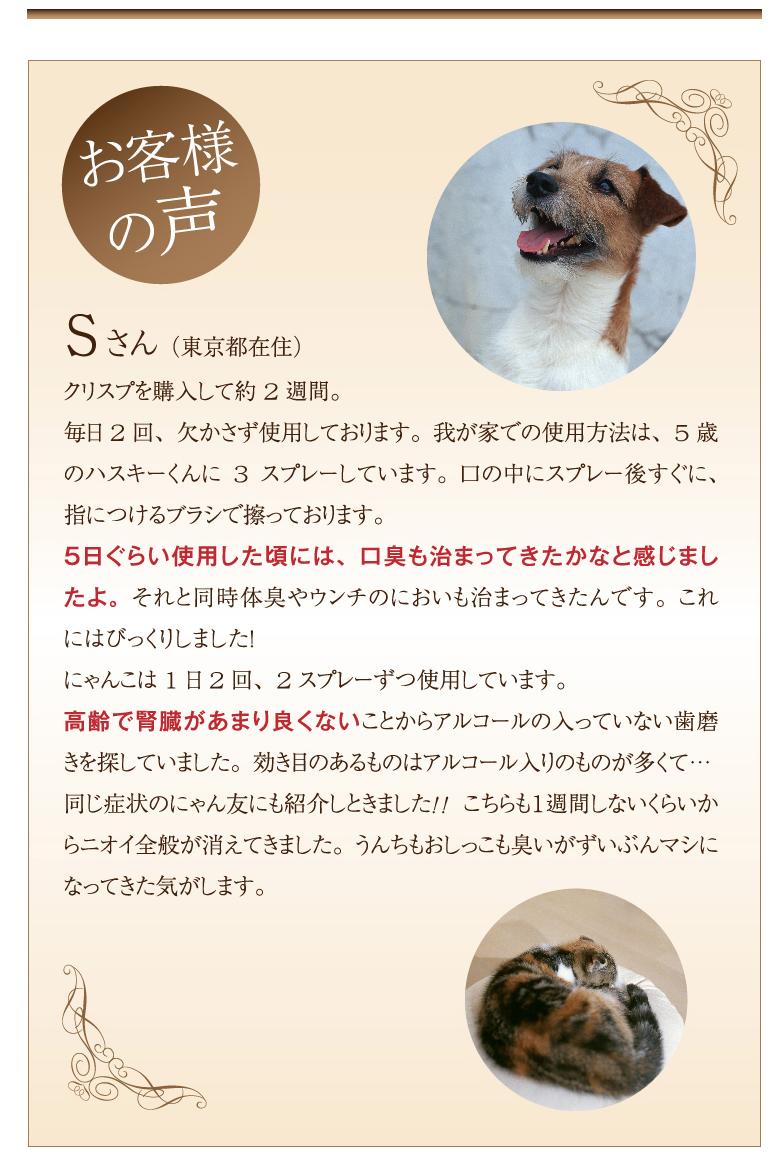 ��ľ�θ��ꡪ����̵���� [���ꥹ�ץǥ󥿥륱�� ����ܥȥ�8ml] ������ �Υ󥢥륳���� �ڥå��ѥǥ󥿥륱�� ���᤭������ ̵ź�� ŷ����ʬ100�� �������ץ� 