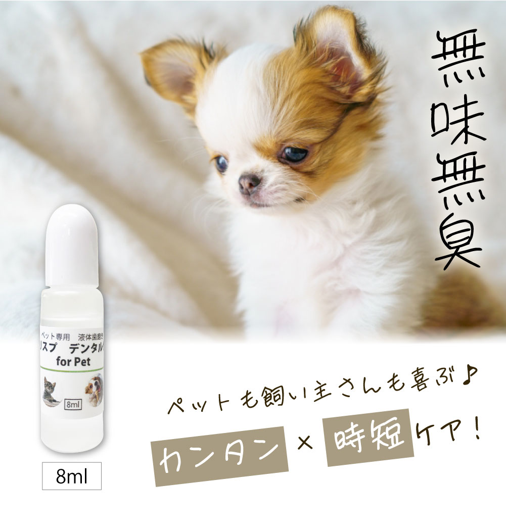 ��ľ�θ��ꡪ����̵���� [���ꥹ�ץǥ󥿥륱�� ����ܥȥ�8ml] ������ �Υ󥢥륳���� �ڥå��ѥǥ󥿥륱�� ���᤭������ ̵ź�� ŷ����ʬ100�� �������ץ� 