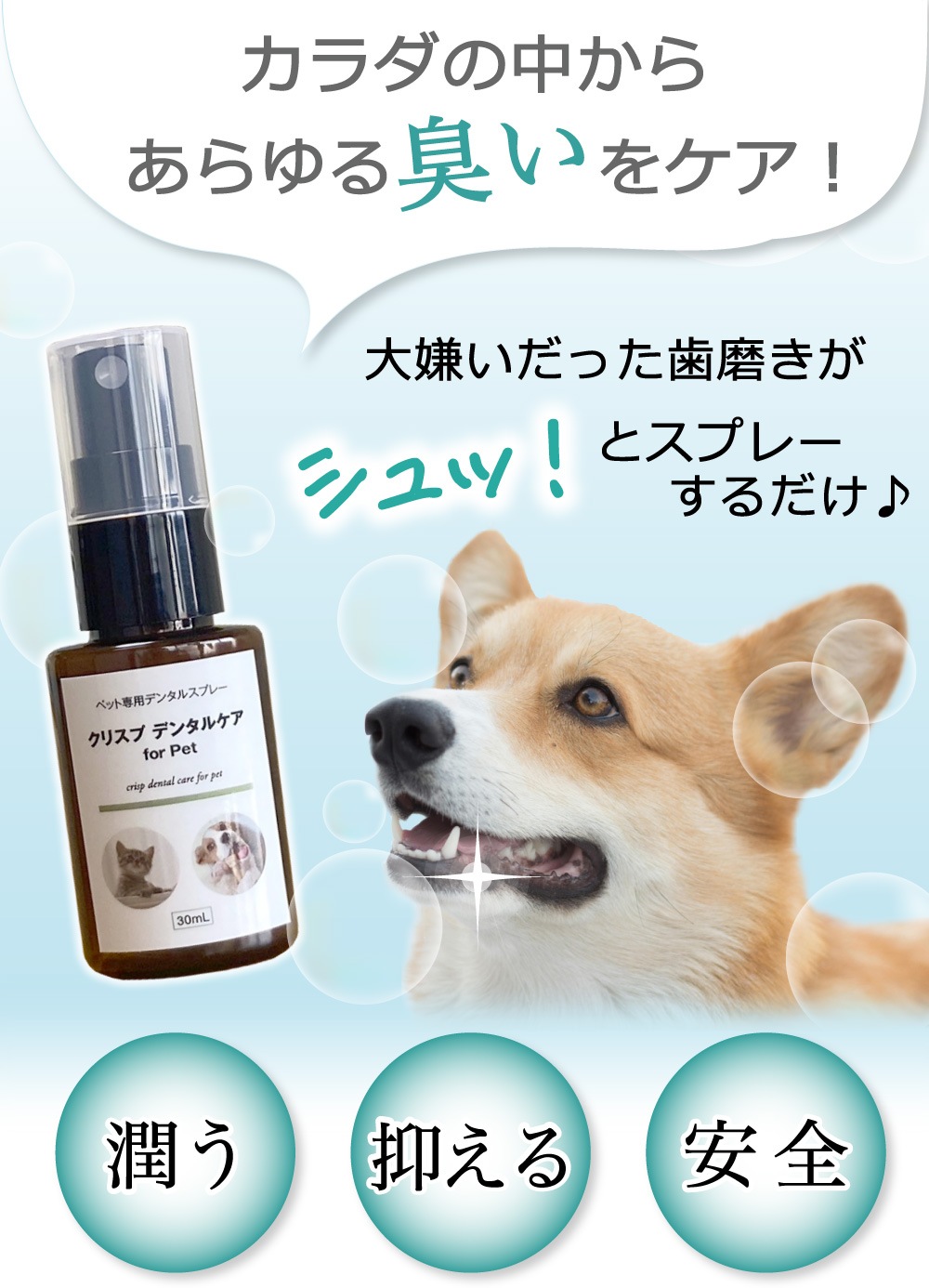 ��᡼���ء��ľ�Τ�����ǰ��͡� �ڥå��ѥǥ󥿥륱�� [���ꥹ�ץǥ󥿥륱�� 30ml] �� �� ǭ �ǥ󥿥륱�� ��ñ ��1~2����ʬ ͽ�� ̵ź�� ���륳�����Ի��� 100%ŷ����ʬ ���᤭ ���λ��᤭ ������ ���Υ˥��� ���� ������륱�� ��ɷ� ̵̵̣�� ��������