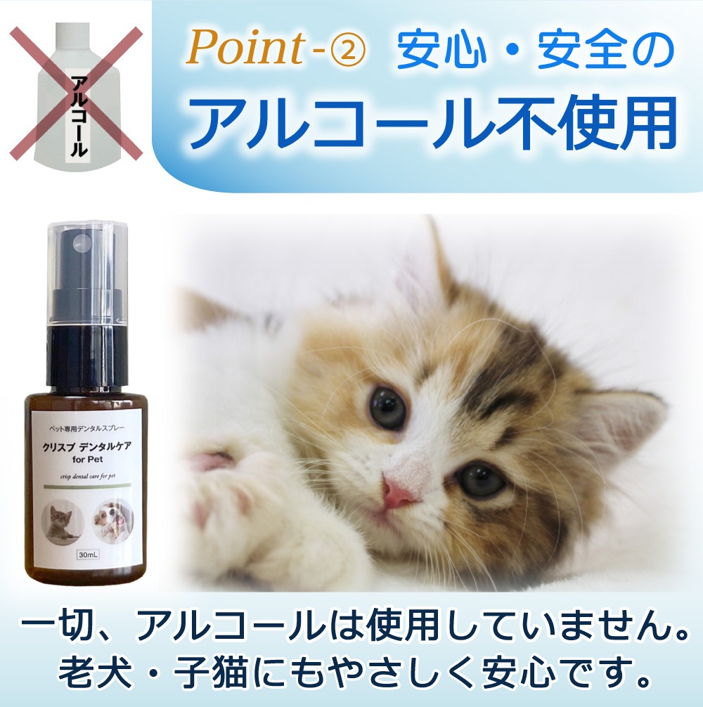 ��᡼���ء��ľ�Τ�����ǰ��͡� �ڥå��ѥǥ󥿥륱�� [���ꥹ�ץǥ󥿥륱�� 30ml] �� �� ǭ �ǥ󥿥륱�� ��ñ ��1~2����ʬ ͽ�� ̵ź�� ���륳�����Ի��� 100%ŷ����ʬ ���᤭ ���λ��᤭ ������ ���Υ˥��� ���� ������륱�� ��ɷ� ̵̵̣�� ��������