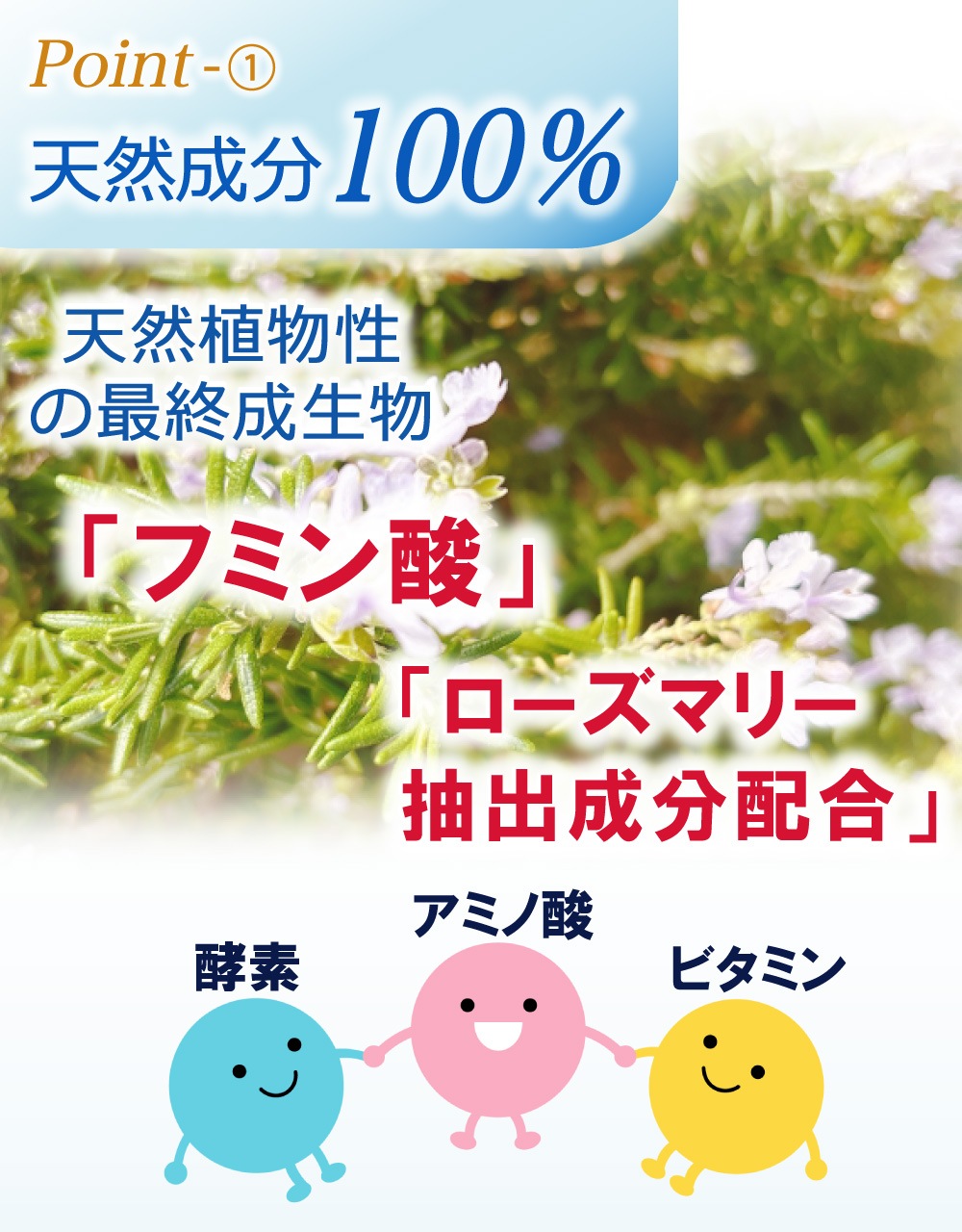 ��᡼���ء��ľ�Τ�����ǰ��͡� �� ���� ���� �ǥ󥿥륱�� �� ���᤭ ǭ �������� �ޥ������꡼�ʡ� �ڥå� �ǥ󥿥륱�� ���λ��᤭ ̵ź�� ���륳�����Ի��� ŷ����ʬ ������ ��ǭ���� ���Х��� ������륱�� [���ꥹ�ץǥ󥿥륱�� 30ml] ����̵��