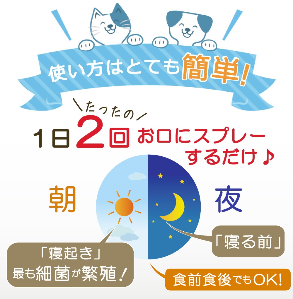 ��᡼���ء��ľ�Τ�����ǰ��͡� �ڥå��ѥǥ󥿥륱�� [���ꥹ�ץǥ󥿥륱�� 30ml] �� �� ǭ �ǥ󥿥륱�� ��ñ ��1~2����ʬ ͽ�� ̵ź�� ���륳�����Ի��� 100%ŷ����ʬ ���᤭ ���λ��᤭ ������ ���Υ˥��� ���� ������륱�� ��ɷ� ̵̵̣�� ��������