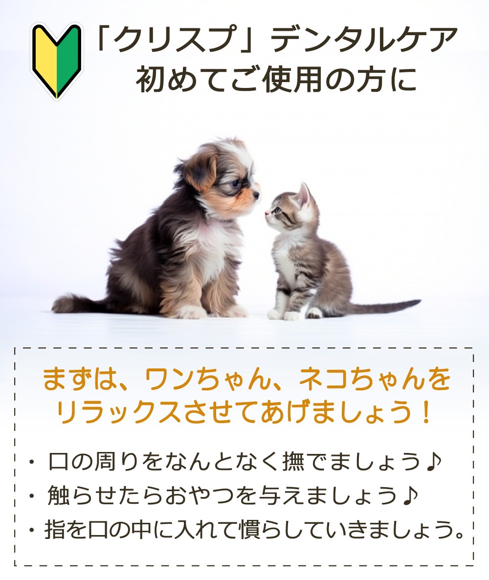 ��᡼���ء��ľ�Τ�����ǰ��͡� �ڥå��ѥǥ󥿥륱�� [���ꥹ�ץǥ󥿥륱�� 30ml] �� �� ǭ �ǥ󥿥륱�� ��ñ ��1~2����ʬ ͽ�� ̵ź�� ���륳�����Ի��� 100%ŷ����ʬ ���᤭ ���λ��᤭ ������ ���Υ˥��� ���� ������륱�� ��ɷ� ̵̵̣�� ��������