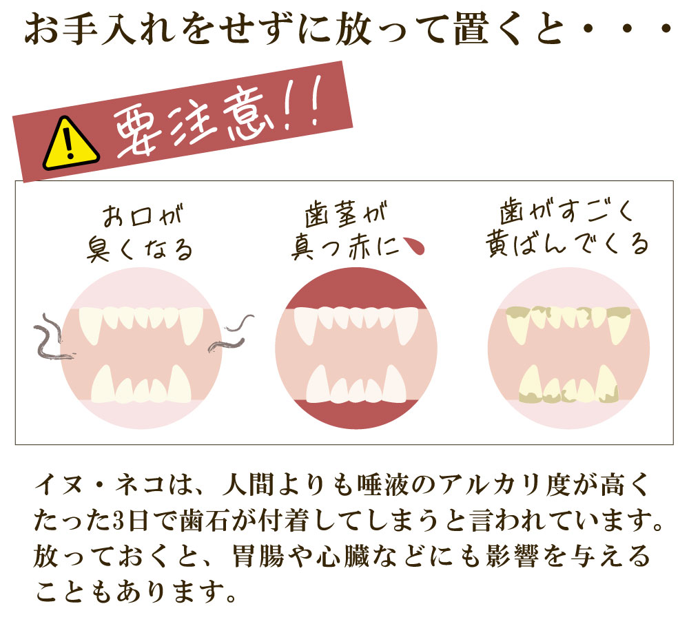 ��᡼���ء��ľ�Τ�����ǰ��͡� �ڥå��ѥǥ󥿥륱�� [���ꥹ�ץǥ󥿥륱�� 30ml] �� �� ǭ �ǥ󥿥륱�� ��ñ ��1~2����ʬ ͽ�� ̵ź�� ���륳�����Ի��� 100%ŷ����ʬ ���᤭ ���λ��᤭ ������ ���Υ˥��� ���� ������륱�� ��ɷ� ̵̵̣�� ��������