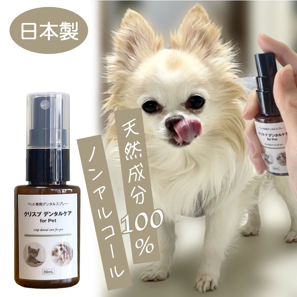 ��᡼���ء��ľ�Τ�����ǰ��͡� �� ���� ���� �ǥ󥿥륱�� �� ���᤭ ǭ �������� �ޥ������꡼�ʡ� ���λ��᤭ ̵ź�� ���륳�����Ի��� ŷ����ʬ ������ ��ǭ����  [���ꥹ�ץǥ󥿥륱�� 2�ܥ��� ��] ��2〜4����ʬ ����̵��