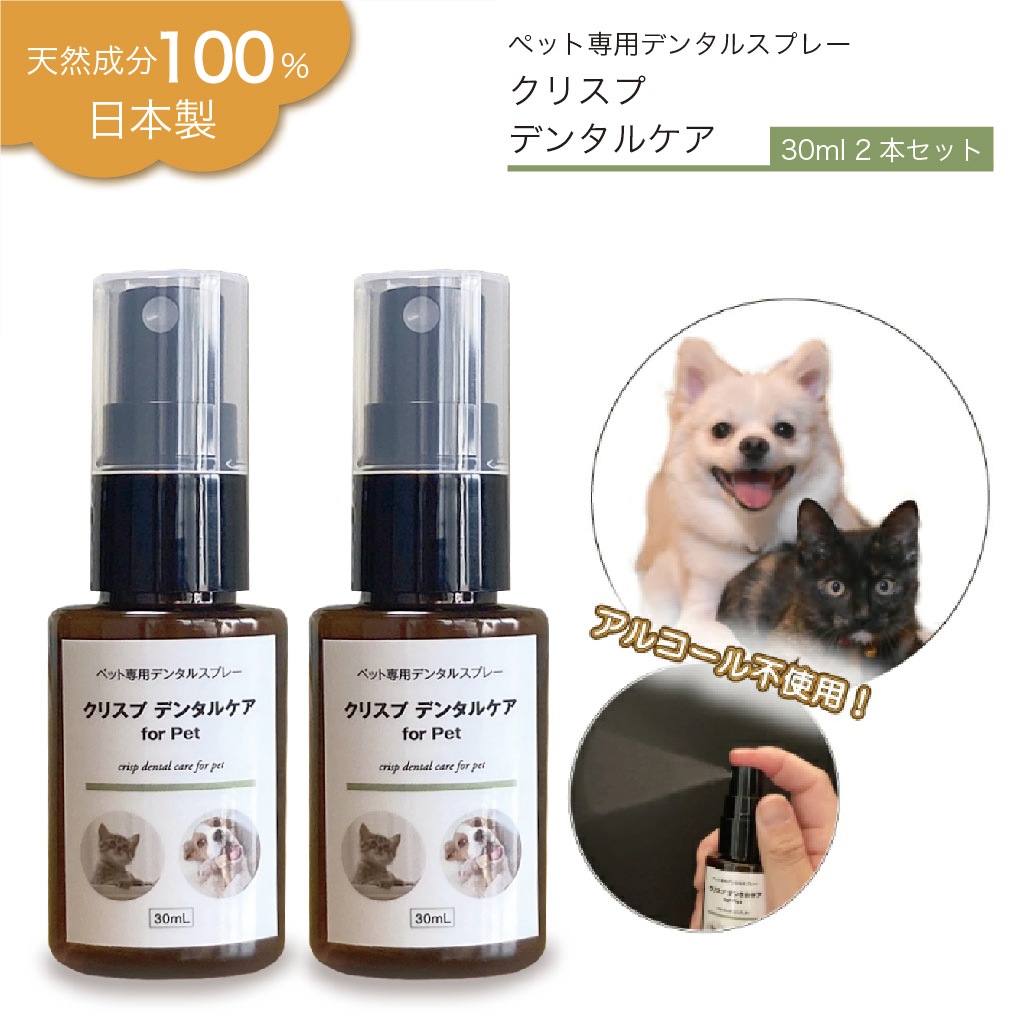 ᡼ءľΤǰ͡ [ꥹץǥ󥿥륱2ܥå] ڥåѥǥ󥿥륱   ǭ ǥ󥿥륱 ñ 2~4ʬ ͽ ̵ź 륳Ի 100%ŷʬ ᤭ λ᤭   Υ˥  륱 ɷ ̵̵̣ ǭ   ̵ 30mlx2ܥå
