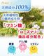 ��᡼���ء��ľ�Τ�����ǰ��͡� �� ���� ���� �ǥ󥿥륱�� �� ���᤭ ǭ �������� �ޥ������꡼�ʡ� ���λ��᤭ ̵ź�� ���륳�����Ի��� ŷ����ʬ ������ ��ǭ����  [���ꥹ�ץǥ󥿥륱�� 2�ܥ��� ��] ��2〜4����ʬ ����̵��