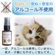 ��᡼���ء��ľ�Τ�����ǰ��͡� �� ���� ���� �ǥ󥿥륱�� �� ���᤭ ǭ �������� �ޥ������꡼�ʡ� ���λ��᤭ ̵ź�� ���륳�����Ի��� ŷ����ʬ ������ ��ǭ����  [���ꥹ�ץǥ󥿥륱�� 2�ܥ��� ��] ��2〜4����ʬ ����̵��