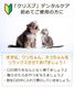 ��᡼���ء��ľ�Τ�����ǰ��͡� �� ���� ���� �ǥ󥿥륱�� �� ���᤭ ǭ �������� �ޥ������꡼�ʡ� ���λ��᤭ ̵ź�� ���륳�����Ի��� ŷ����ʬ ������ ��ǭ����  [���ꥹ�ץǥ󥿥륱�� 2�ܥ��� ��] ��2〜4����ʬ ����̵��