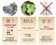 ᡼ءľΤǰ͡ [ꥹץǥ󥿥륱2ܥå] ڥåѥǥ󥿥륱   ǭ ǥ󥿥륱 ñ 2~4ʬ ͽ ̵ź 륳Ի 100%ŷʬ ᤭ λ᤭   Υ˥  륱 ɷ ̵̵̣ ǭ   ̵ 30mlx2ܥå