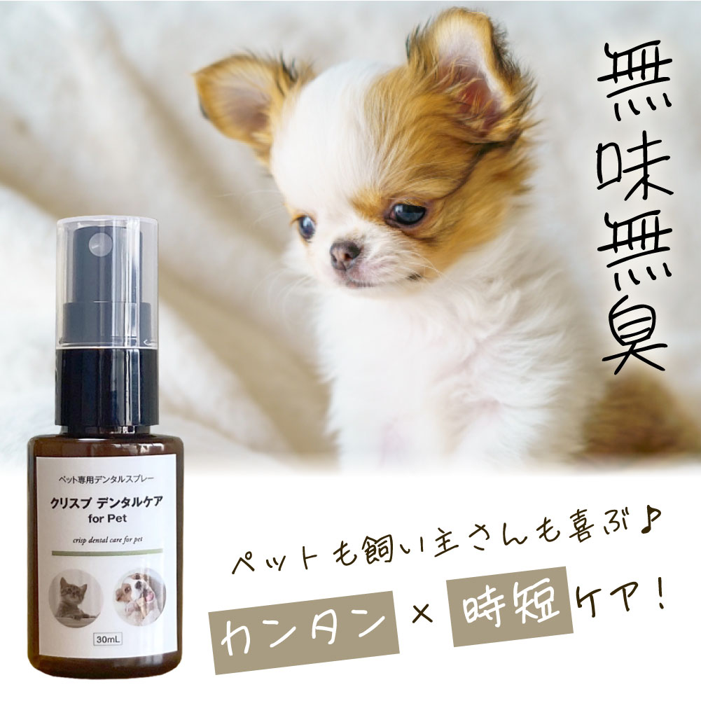 [ꥹ2å] ꥹץ䡼å60ml&ǥ󥿥륱30ml ñʹꤪ Υ󥢥륳 ǭ   λ᤭ ŷʬ100% 䡼꡼ʡ ˥  ڥåȥ