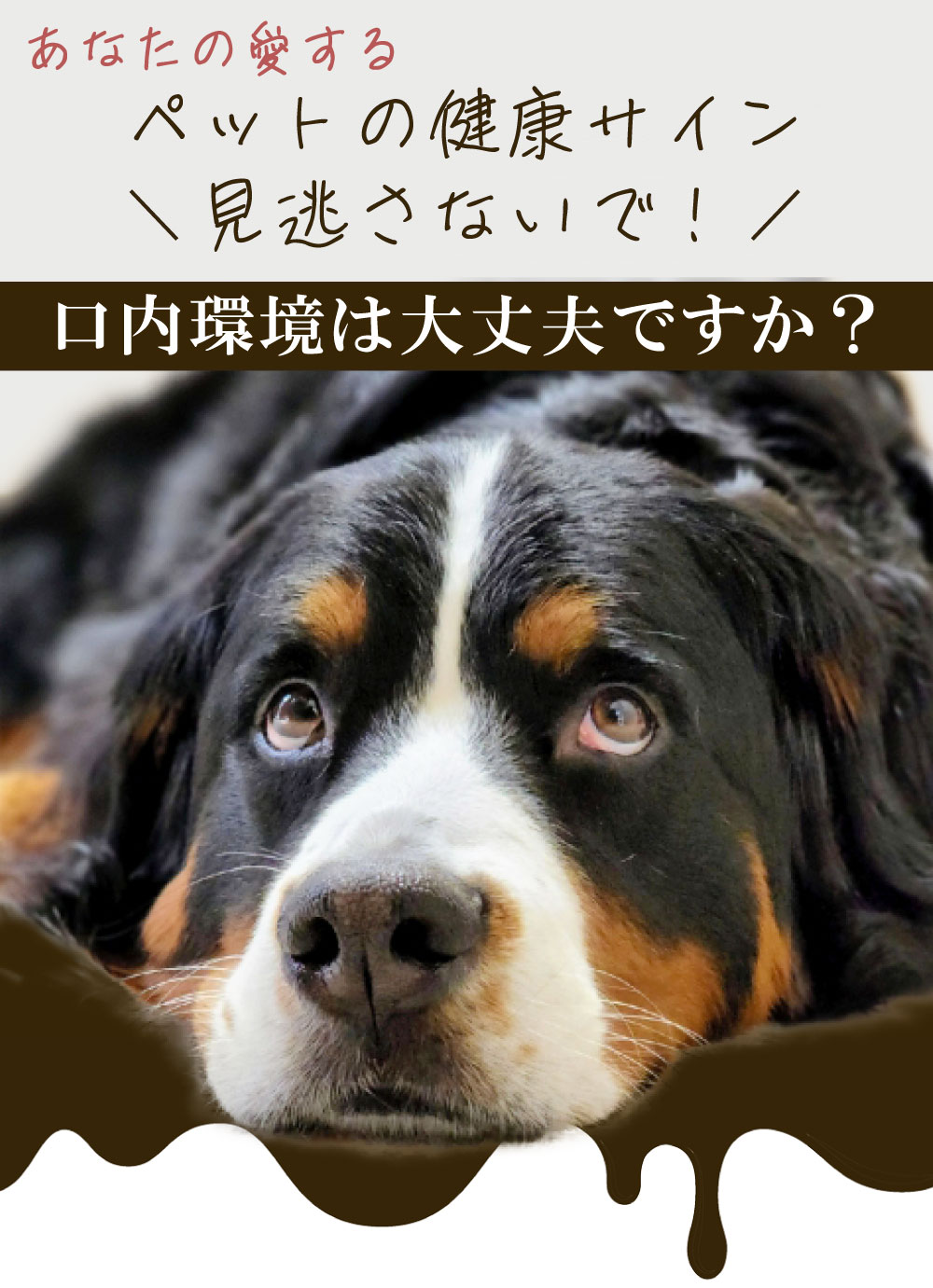 [ꥹ2å] ꥹץ䡼å60ml&ǥ󥿥륱30ml ñʹꤪ Υ󥢥륳 ǭ   λ᤭ ŷʬ100% 䡼꡼ʡ ˥  ڥåȥ