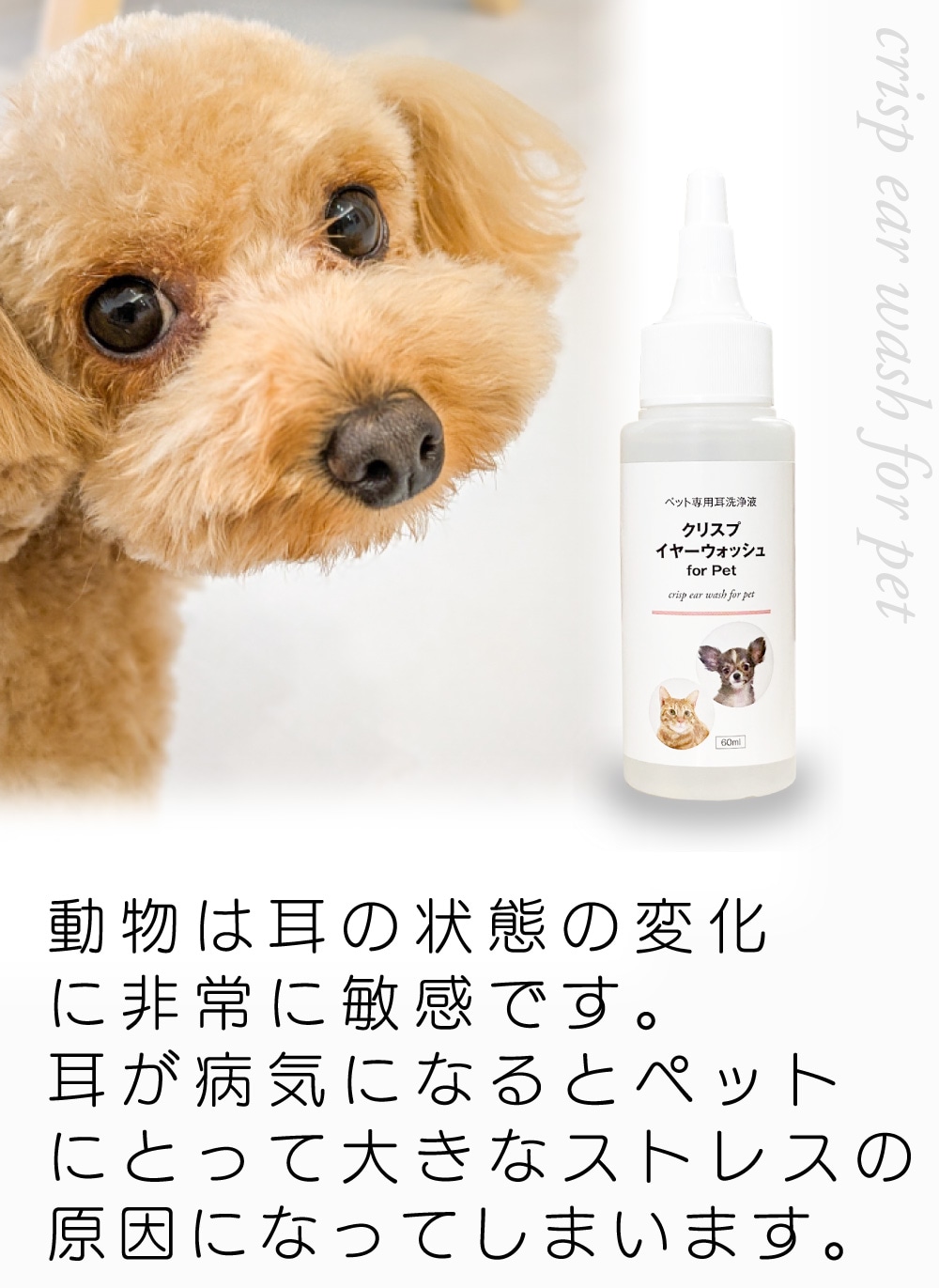 [ꥹ2å] ꥹץ䡼å60ml&ǥ󥿥륱30ml ñʹꤪ Υ󥢥륳 ǭ   λ᤭ ŷʬ100% 䡼꡼ʡ ˥  ڥåȥ