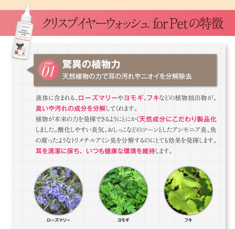    ǭ ڥå [ꥹץ䡼åͤؤ]  300ml Υ󥢥륳륿פθǭڥåѼ  ŷʬ100 ɷ ܥ˥ ڥå ݽ   ˥ ̵ ڥåѼ